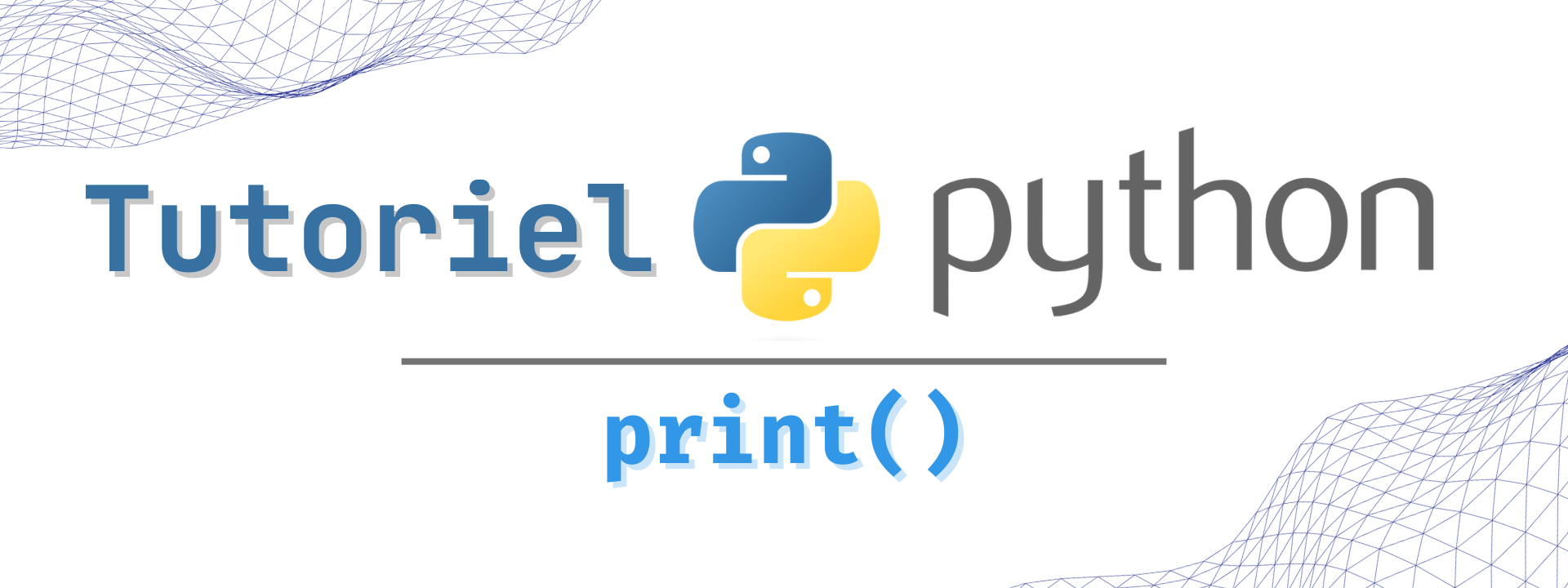 Guide de la fonction print en Python ... | DataScientist.fr