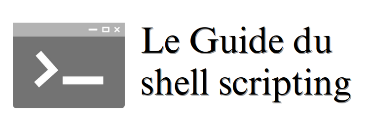 Le guide ultime des scripts Shell pou... | DataScientist.fr